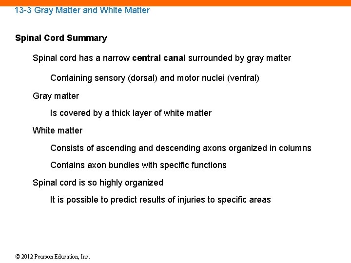 13 -3 Gray Matter and White Matter Spinal Cord Summary Spinal cord has a