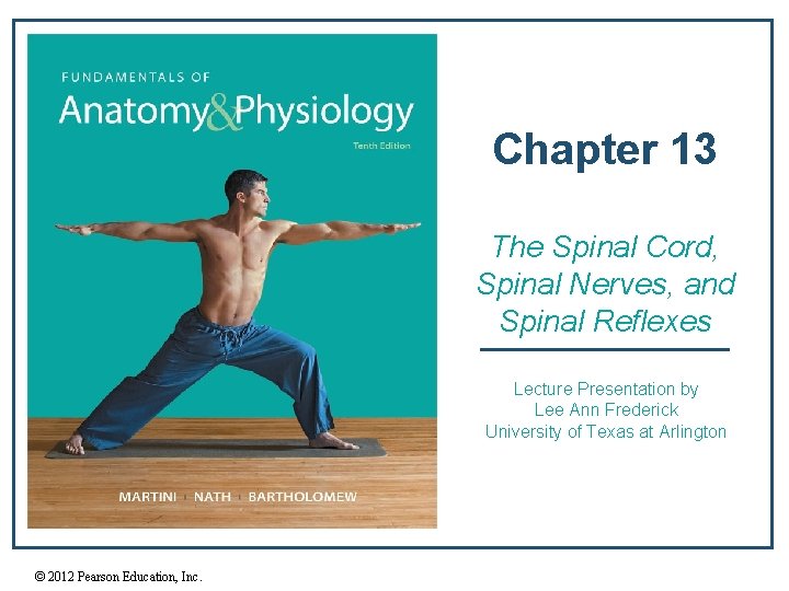 Chapter 13 The Spinal Cord, Spinal Nerves, and Spinal Reflexes Lecture Presentation by Lee