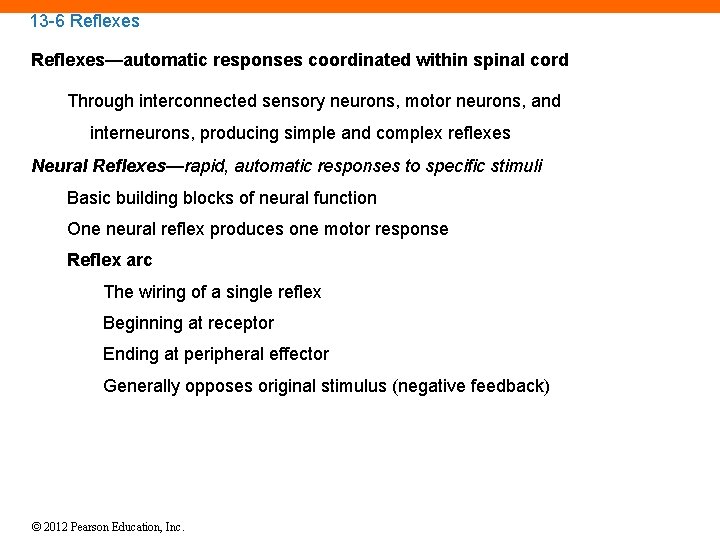 13 -6 Reflexes—automatic responses coordinated within spinal cord Through interconnected sensory neurons, motor neurons,
