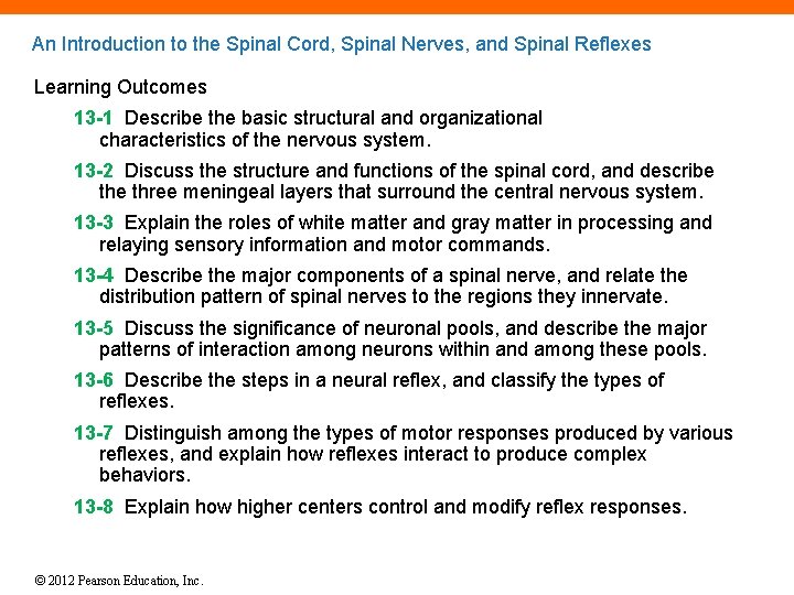 An Introduction to the Spinal Cord, Spinal Nerves, and Spinal Reflexes Learning Outcomes 13