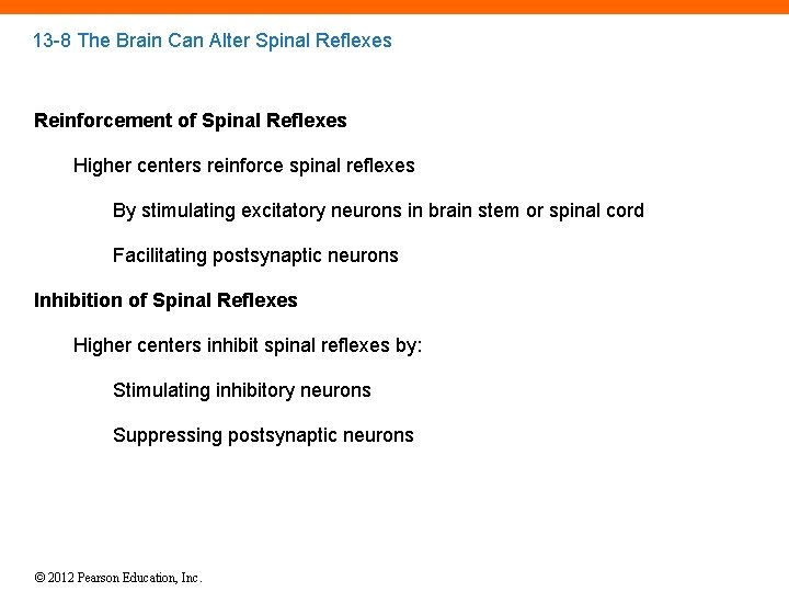 13 -8 The Brain Can Alter Spinal Reflexes Reinforcement of Spinal Reflexes Higher centers