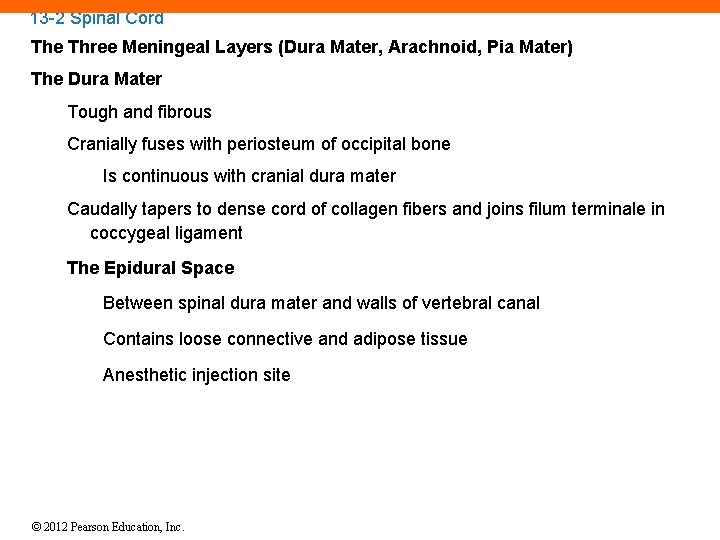 13 -2 Spinal Cord The Three Meningeal Layers (Dura Mater, Arachnoid, Pia Mater) The