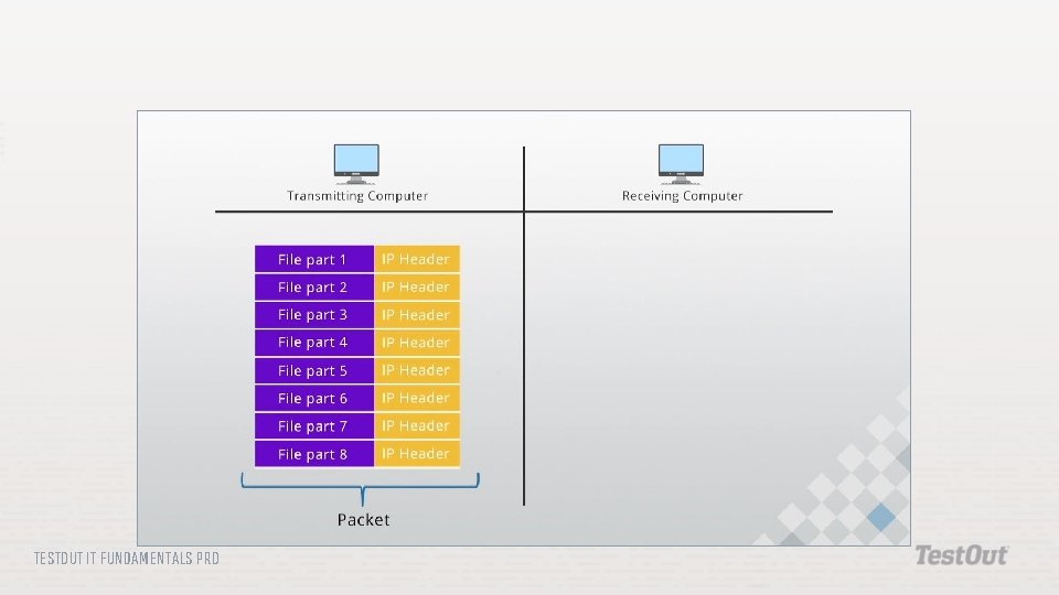 TESTOUT IT FUNDAMENTALS PRO 