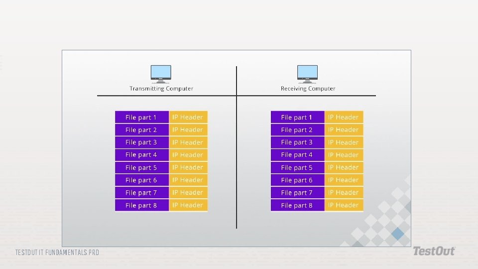 TESTOUT IT FUNDAMENTALS PRO 