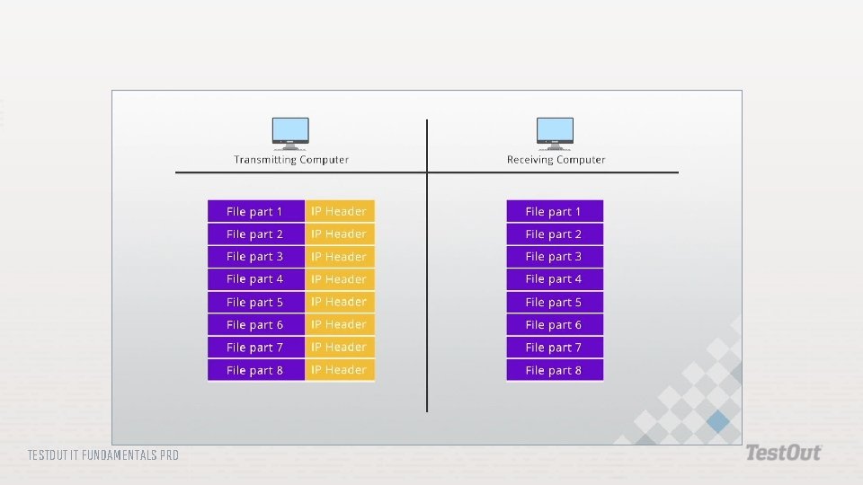 TESTOUT IT FUNDAMENTALS PRO 