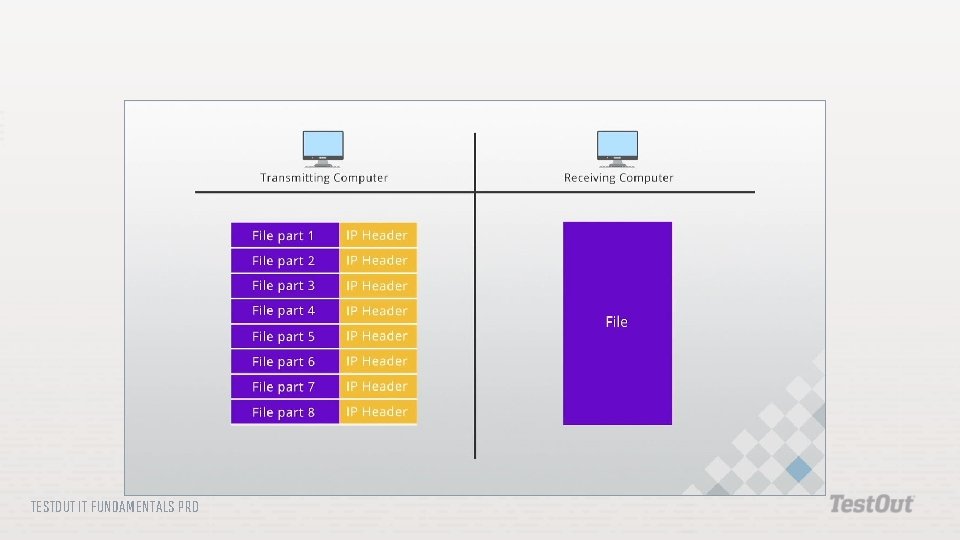 TESTOUT IT FUNDAMENTALS PRO 