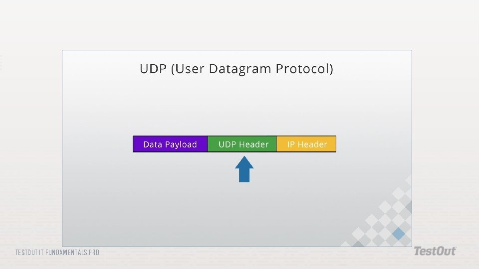 TESTOUT IT FUNDAMENTALS PRO 