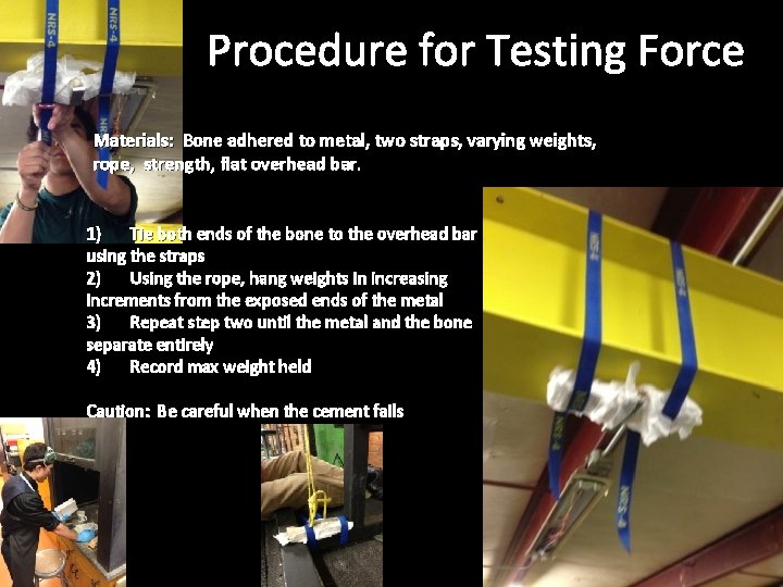 Procedure for Testing Force Materials: Bone adhered to metal, two straps, varying weights, rope,