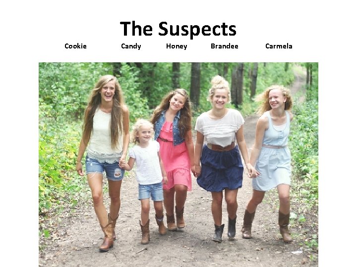 Cookie The Suspects Candy Honey Brandee Carmela  Cookie The Suspects Candy Honey Brandee Carmela
