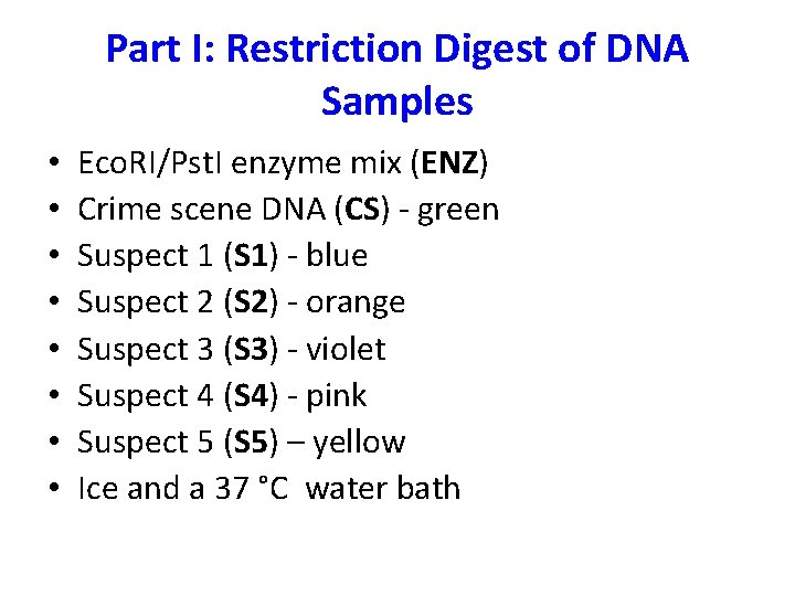 Part I: Restriction Digest of DNA Samples • • Eco. RI/Pst. I enzyme mix