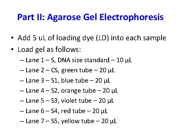 Part II: Agarose Gel Electrophoresis • Add 5 u. L of loading dye (LD) Part II: Agarose Gel Electrophoresis • Add 5 u. L of loading dye (LD)