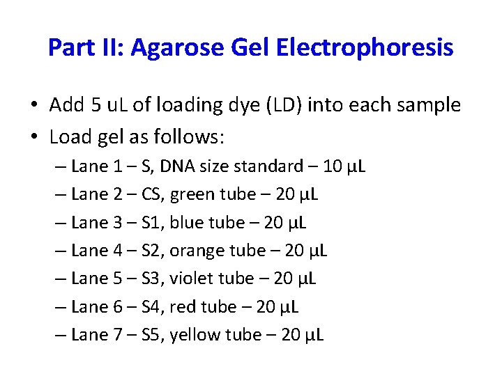 Part II: Agarose Gel Electrophoresis • Add 5 u. L of loading dye (LD)