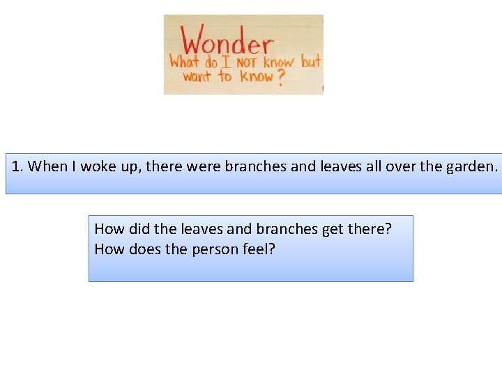 1. When I woke up, there were branches and leaves all over the garden.