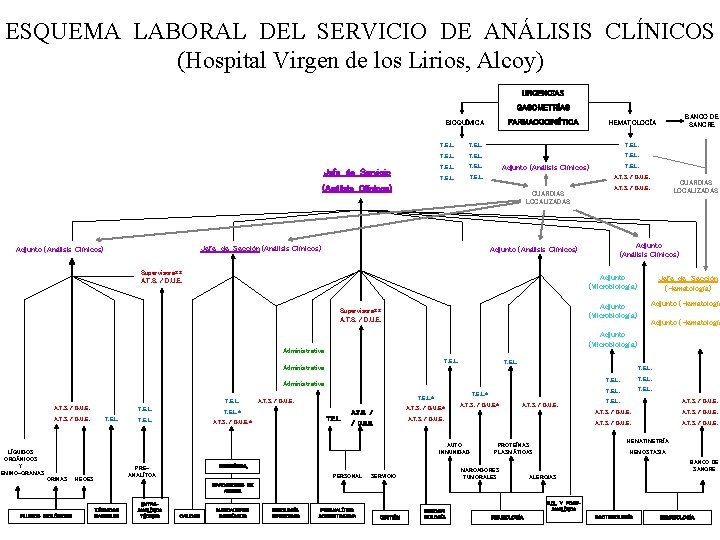 ESQUEMA LABORAL DEL SERVICIO DE ANÁLISIS CLÍNICOS (Hospital Virgen de los Lirios, Alcoy) URGENCIAS