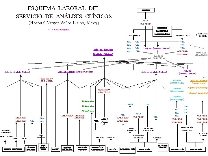 ESQUEMA LABORAL DEL SERVICIO DE ANÁLISIS CLÍNICOS BIOQUÍMICA T. E. L. * (Hospital Virgen