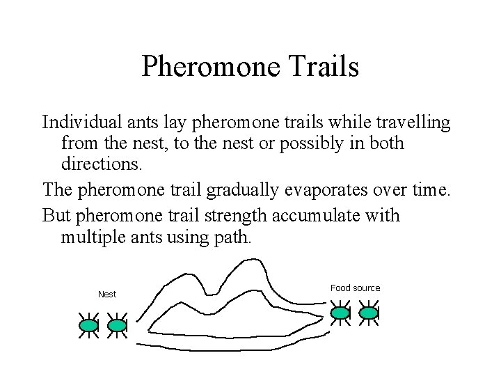 Pheromone Trails Individual ants lay pheromone trails while travelling from the nest, to the