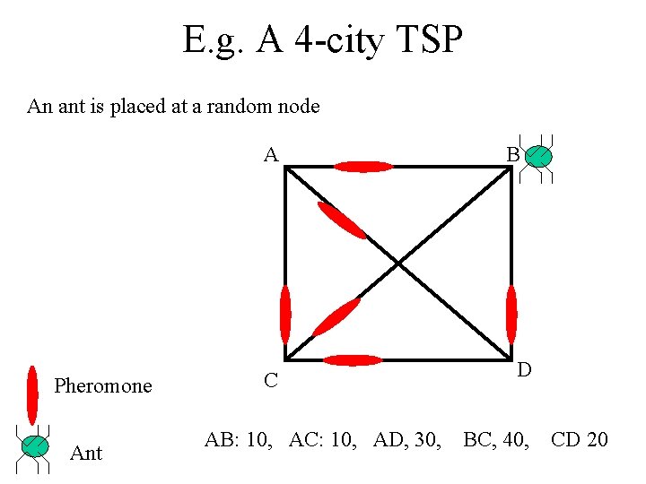 E. g. A 4 -city TSP An ant is placed at a random node