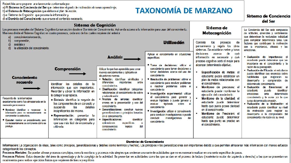 TAXONOMÍA DE MARZANO 
