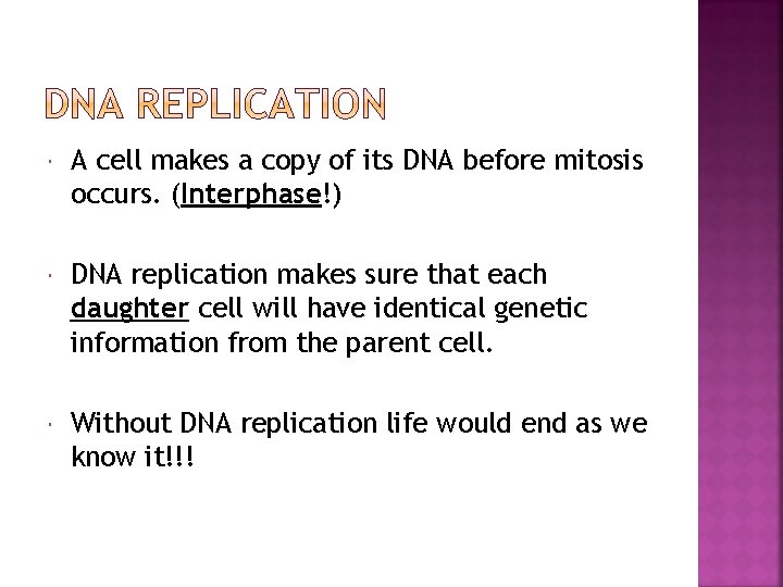  A cell makes a copy of its DNA before mitosis occurs. (Interphase!) DNA