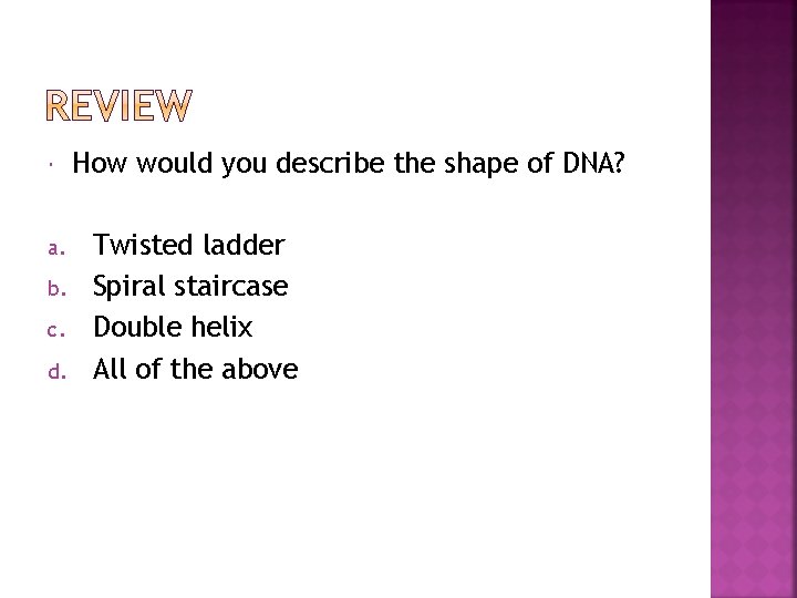  a. b. c. d. How would you describe the shape of DNA? Twisted