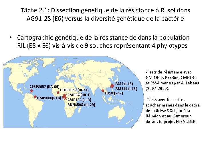 Tâche 2. 1: Dissection génétique de la résistance à R. sol dans AG 91