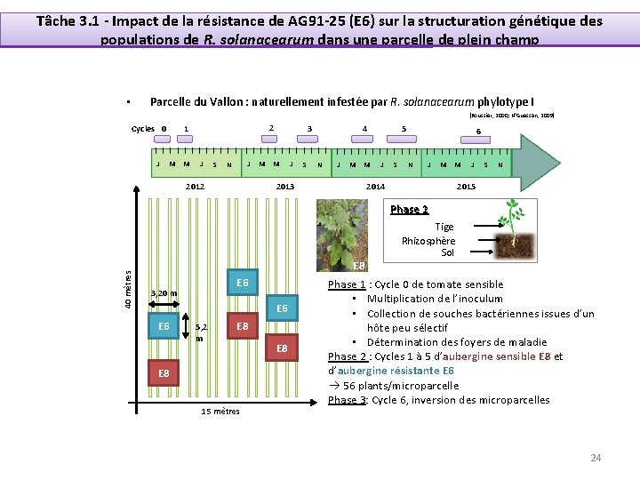 Tâche 3. 1 - Impact de la résistance de AG 91 -25 (E 6)