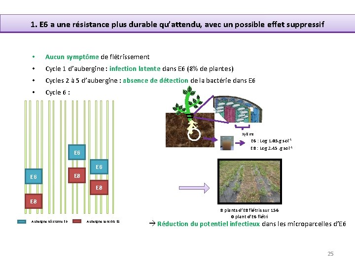 1. E 6 a une résistance plus durable qu’attendu, avec un possible effet suppressif