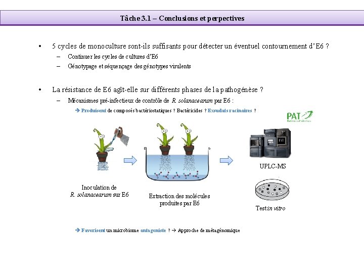 Tâche 3. 1 – Conclusions et perpectives • • 5 cycles de monoculture sont-ils