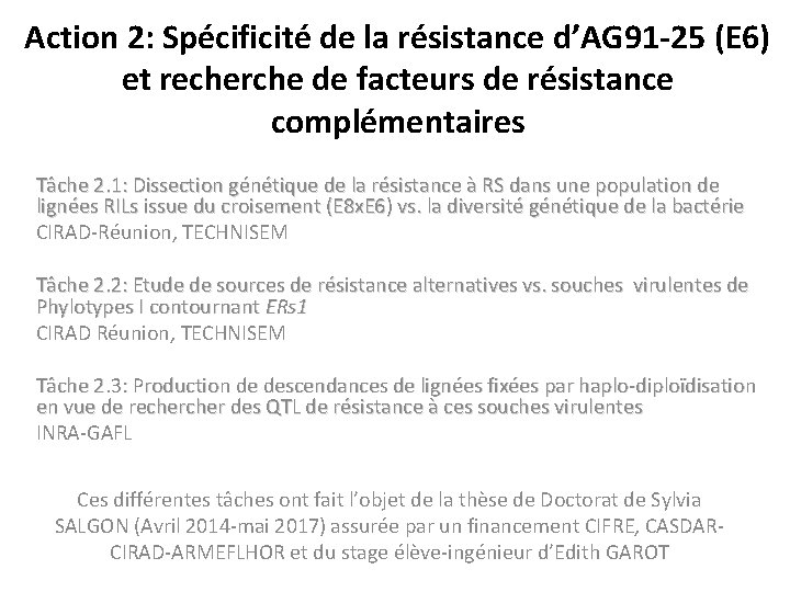 Action 2: Spécificité de la résistance d’AG 91 -25 (E 6) et recherche de