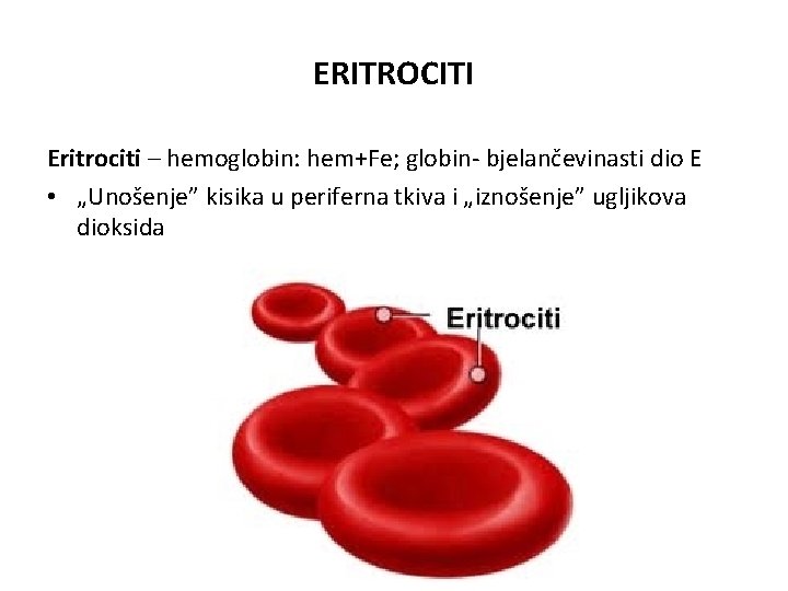 ERITROCITI Eritrociti – hemoglobin: hem+Fe; globin- bjelančevinasti dio E • „Unošenje” kisika u periferna