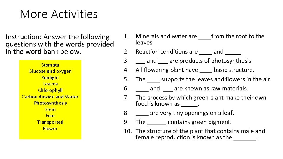More Activities Instruction: Answer the following questions with the words provided in the word