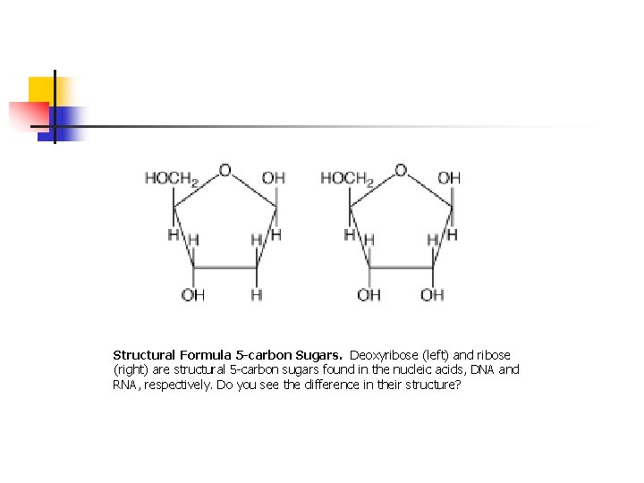 Structural Formula 5 -carbon Sugars. Deoxyribose (left) and ribose (right) are structural 5 -carbon