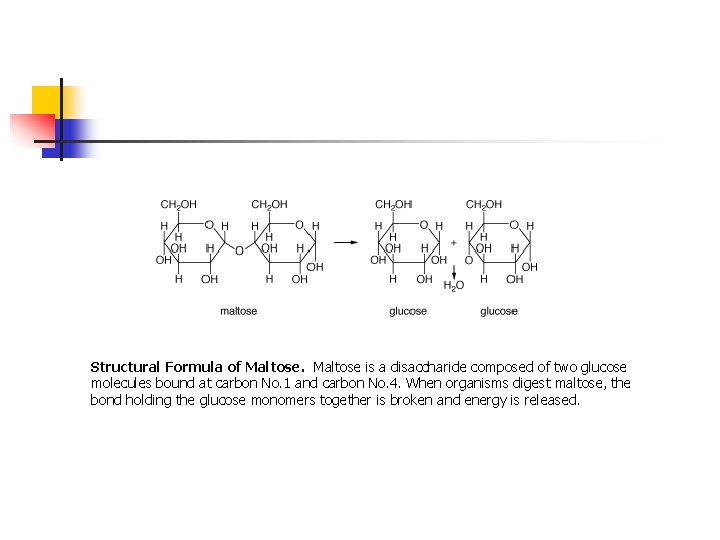 Structural Formula of Maltose is a disaccharide composed of two glucose molecules bound at