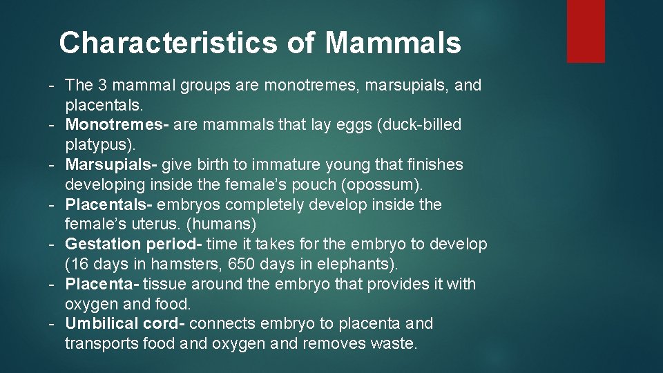 Characteristics of Mammals - The 3 mammal groups are monotremes, marsupials, and placentals. -