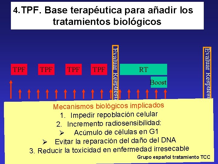 4. TPF. Base terapéutica para añadir los tratamientos biológicos TPF RT Boost Mecanismos biológicos