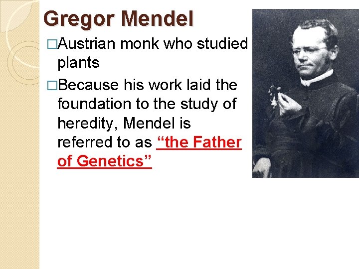 Gregor Mendel �Austrian monk who studied plants �Because his work laid the foundation to