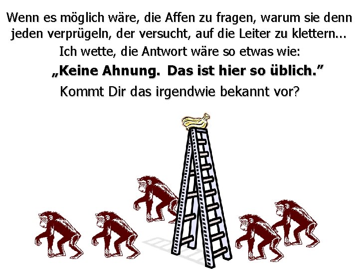 Wenn es möglich wäre, die Affen zu fragen, warum sie denn jeden verprügeln, der