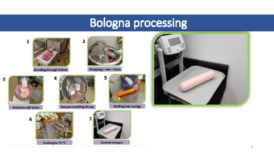 Bologna processing 6 
