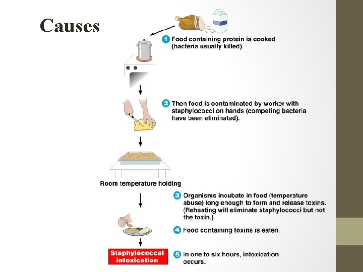 Causes 