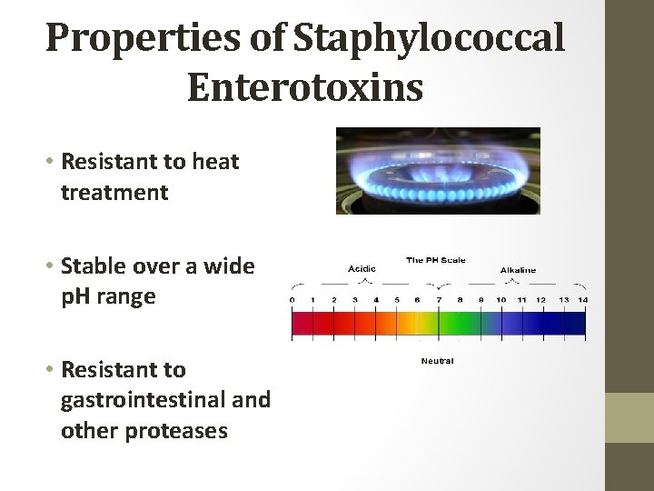 Properties of Staphylococcal Enterotoxins • Resistant to heat treatment • Stable over a wide