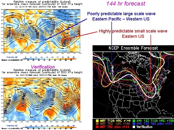 144 hr forecast Poorly predictable large scale wave Eastern Pacific – Western US Highly