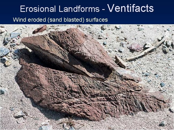 Erosional Landforms - Ventifacts Wind eroded (sand blasted) surfaces 