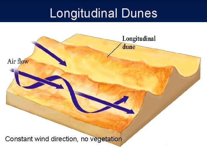 Longitudinal Dunes Constant wind direction, no vegetation 