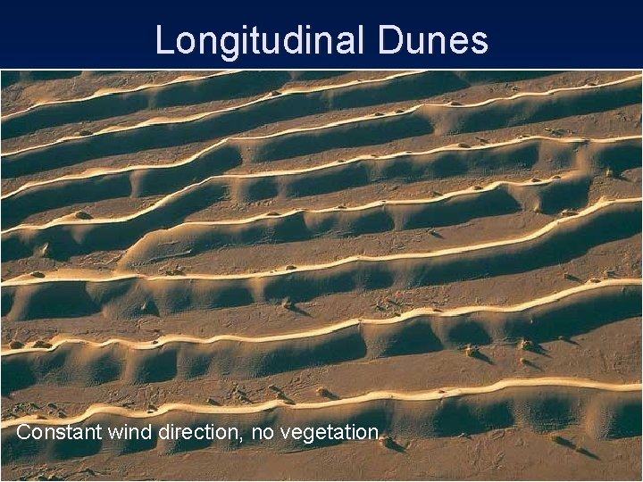 Longitudinal Dunes Constant wind direction, no vegetation 