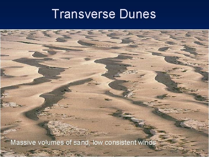 Transverse Dunes Massive volumes of sand, low consistent winds 