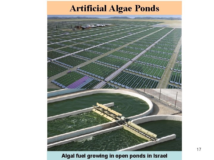 Artificial Algae Ponds 17 Algal fuel growing in open ponds in Israel 