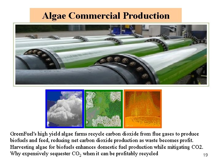 Algae Commercial Production Green. Fuel's high yield algae farms recycle carbon dioxide from flue