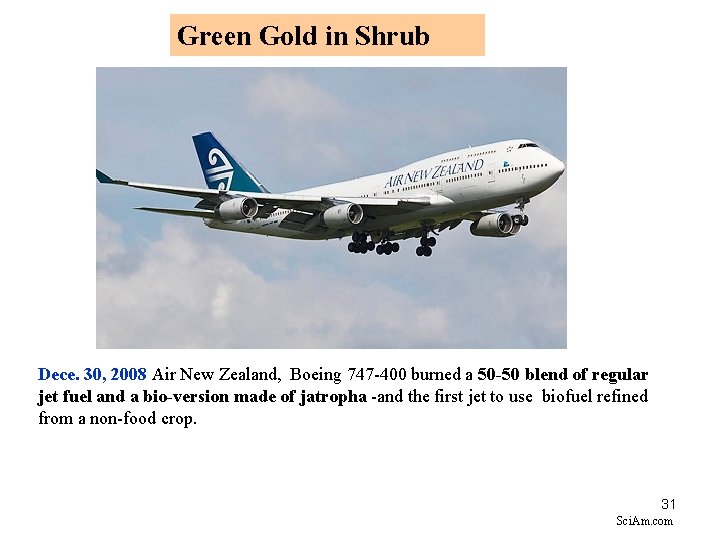 Green Gold in Shrub Dece. 30, 2008 Air New Zealand, Boeing 747 -400 burned