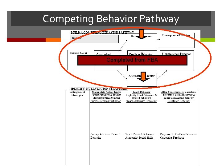 Competing Behavior Pathway Completed from FBA 