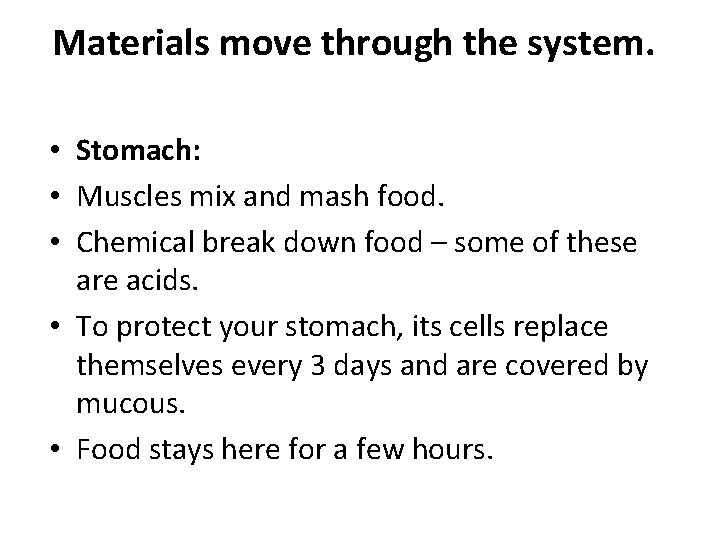 Materials move through the system. • Stomach: • Muscles mix and mash food. • Materials move through the system. • Stomach: • Muscles mix and mash food. •